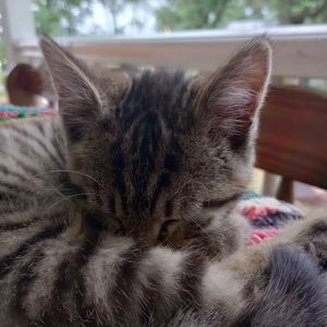 Meet your Posher, Laina